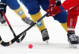 В Поморье начался чемпионат области по мини-хоккею с мячом