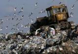 Раздельный сбор мусора и протесты в Шиесе. О чем говорили на круглом столе по экологии? 