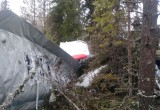 Жесткая посадка на лесной массив самолета  АН-2 с 11 пассажирами недалеко от Архангельска (ФОТО) 