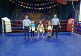Юные спортсмены из клуба "Альфа" отлично выступили на Чемпионате Архангельской области по тайскому боксу (ФОТО)