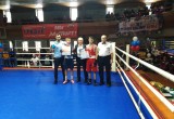 Коряжемские боксеры привезли несколько наград с Первенства СЗФО (ФОТО) 