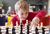 В ближайшие два года в начальной школе появятся уроки по шахматам (ОПРОС)