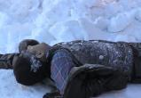 Москвич и житель Архангельской области замерзли насмерть
