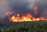 В Архангельской области смонтировали камеры для обнаружения лесных пожаров