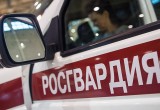 В Архангельске два пьяных хулигана напали на сотрудников Росгвардии