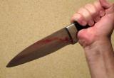 Осуждён ударивший ножом 10-летнюю девочку житель Коряжмы