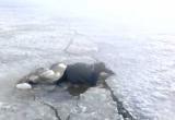 В Ленском районе двое детей провалились под лед и утонули