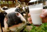 Молочные продукты в торговых точках должны стоять отдельно от молокосодержащих и продуктов с растительным жиром