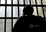Педофил из Коряжмы за изнасилование 6-летнего племянника получил 12 лет строгого режима (ВИДЕО)