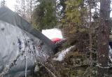 Жесткая посадка на лесной массив самолета  АН-2 с 11 пассажирами недалеко от Архангельска (ФОТО) 