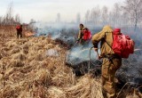 С 1 мая в Архангельской области введён особый противопожарный режим
