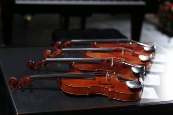 Три юных коряжемских скрипачки стали дипломантами областного конкурса