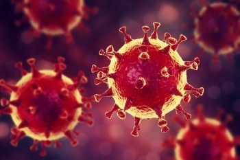 Заболеваемость коронавирусом за пять дней в Коряжме заметно снизилась