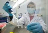 Новый штамм коронавируса омикрон может оказаться «живой вакциной»