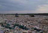 Скандал в зловонном семействе: мусоровозы не пропустили на свалку в Коряжме