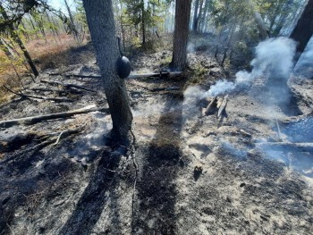 В Поморье зафиксировали первый в этом году лесной пожар