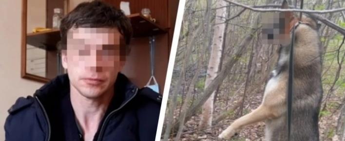 Подозреваемый в жуткой «казни» собаки в парке задержан в Северодвинске