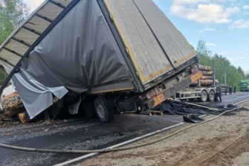 Столкновение двух большегрузов в Поморье закончилось гибелью одного из водителей