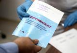 Медику из Архангельской области грозит реальный срок за подделку ковид-сертификатов