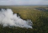 На границе Коми и Архангельской области горит лес