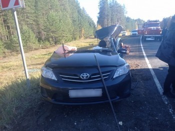 Пассажирка легковушки погибла после столкновения с грузовиком на трассе "Москва-Архангельск"