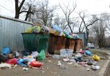 Прокуратура взяла под контроль "мусорную проблему" в Коряжме и Котласе