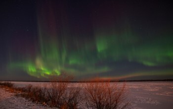 На юге Архангельской области сегодня можно было наблюдать северное сияние
