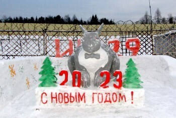 В колониях Архангельской области поселились снежные кролики