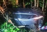 В Вельском районе иномарка вылетела в кювет, водитель погиб на месте