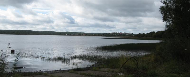 Следственные органы проверяют обстоятельства гибели 42-летнего мужчины на озере в Приморском районе