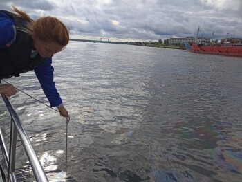 В Архангельской области обнаружили многокилометровое нефтяное пятно на Северной Двине