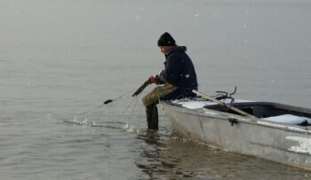 В Архангельской области власти утвердили правила прибрежного рыболовства