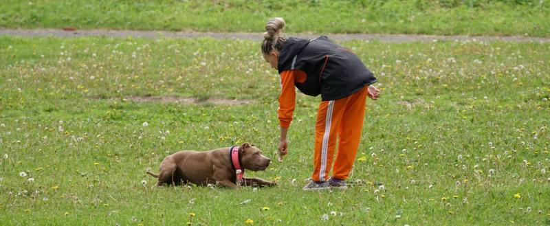 Фото: Коммуниционное агенство Медиа консалт