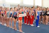 Фото: Пресс-служба федерации спортивной гимнастики Архангельской области