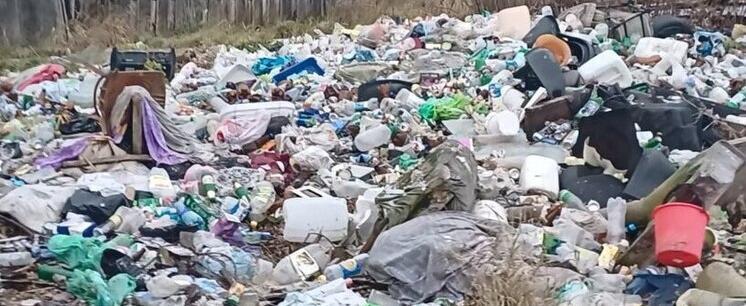 Фото: Пресс-служба ОНФ Архангельской области