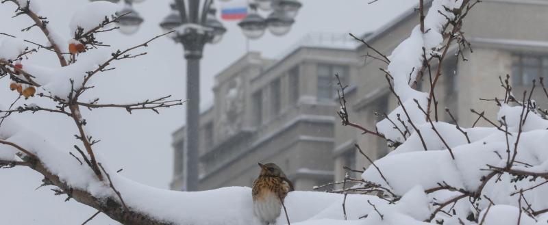 Фото: Коммуниционное агенство Медиа консалт