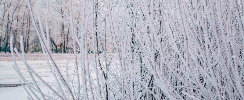 Фото: Коммуниционное агенство Медиа консалт