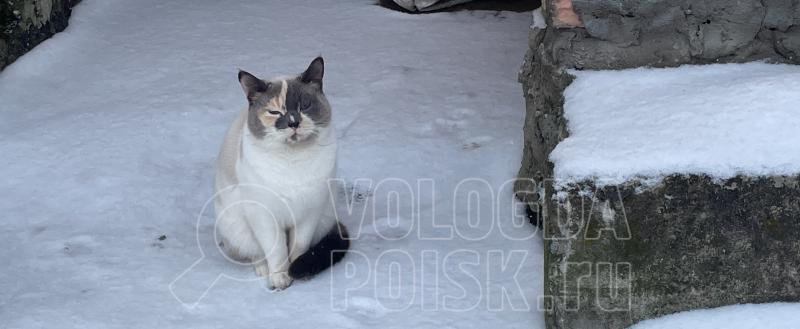 Фото: Коммуниционное агенство Медиа консалт