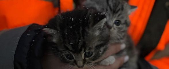 Фото: Пресс-служба Росводоканал Архангельск