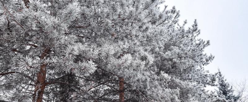 Фото: Коммуниционное агенство Медиа консалт