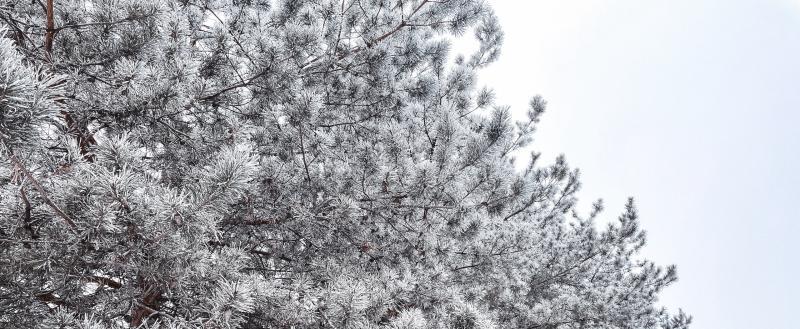 Фото: Коммуниционное агенство Медиа консалт