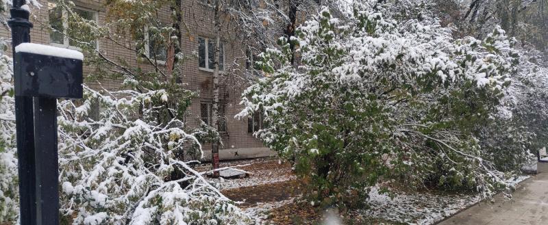 Фото: Коммуниционное агенство Медиа консалт