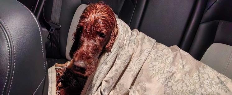 Фото: Пресс-служба агентства ГПС и ГЗ Архангельской области