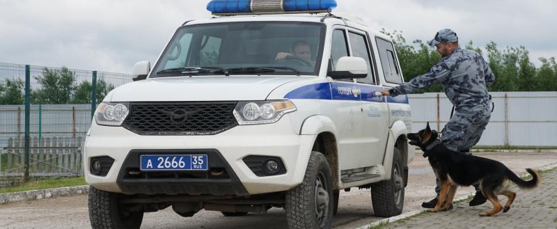 Фото: Коммуниционное агенство Медиа консалт