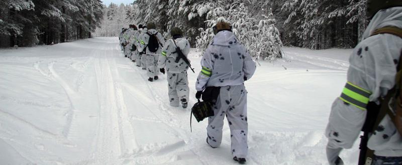 Фото: Пресс-служба УМВД по Архангельской области