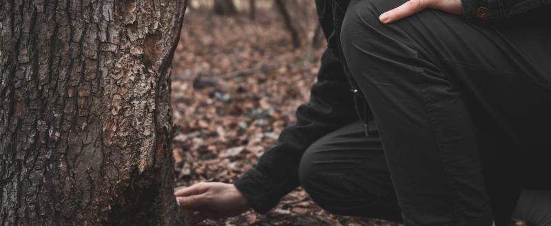 Фото: Коммуниционное агенство Медиа консалт