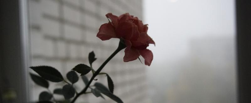 Фото: Коммуниционное агенство Медиа консалт