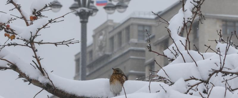 Фото: Коммуниционное агенство Медиа консалт