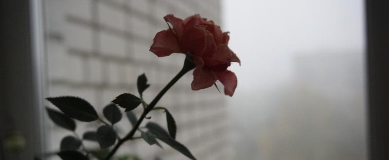 Фото: Коммуниционное агенство Медиа консалт