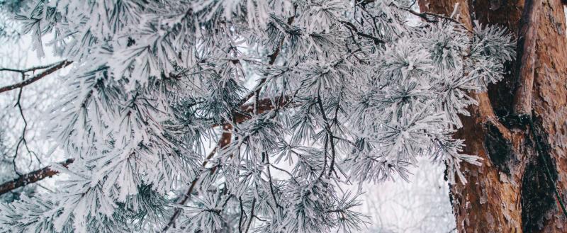 Фото: Коммуниционное агенство Медиа консалт